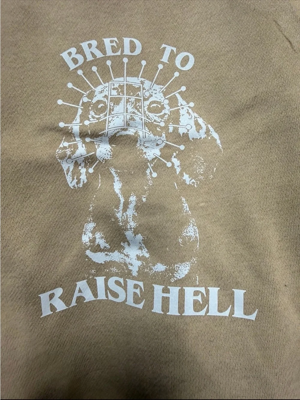 Beangoods halloween dachshund hoodie new